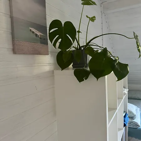 48c Letniskowe I Apartmán