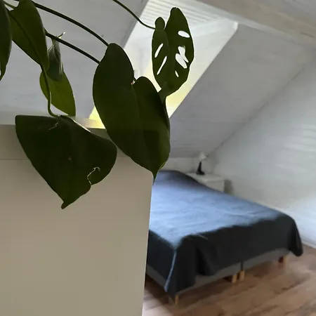 Apartmán 48c Letniskowe I Pobierowo